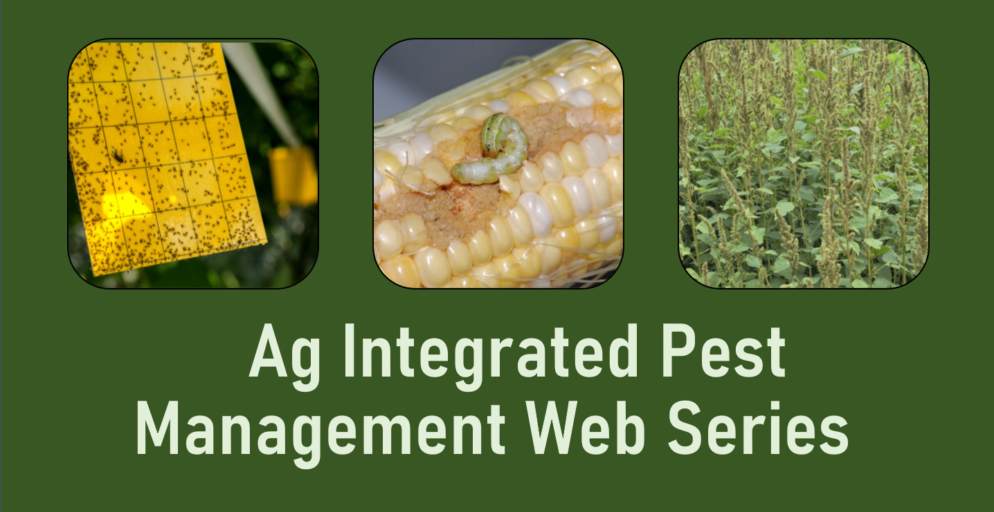Redirecting To Https Agnr Umd Edu Events Ag Integrated Pest